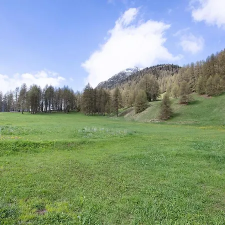 Bait Dal Cucu App Ables *